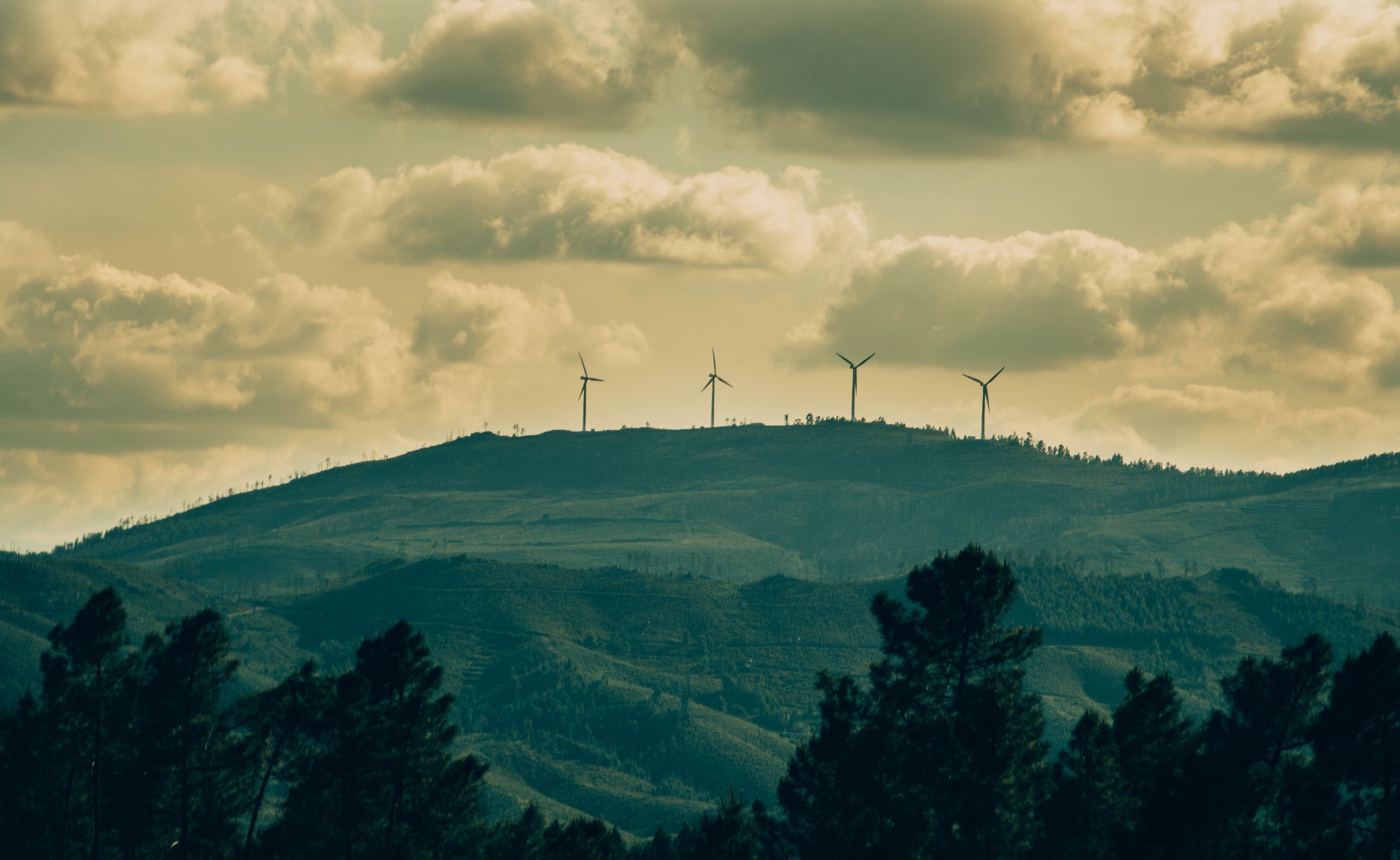 Building Asia's Clean Energy Workforce